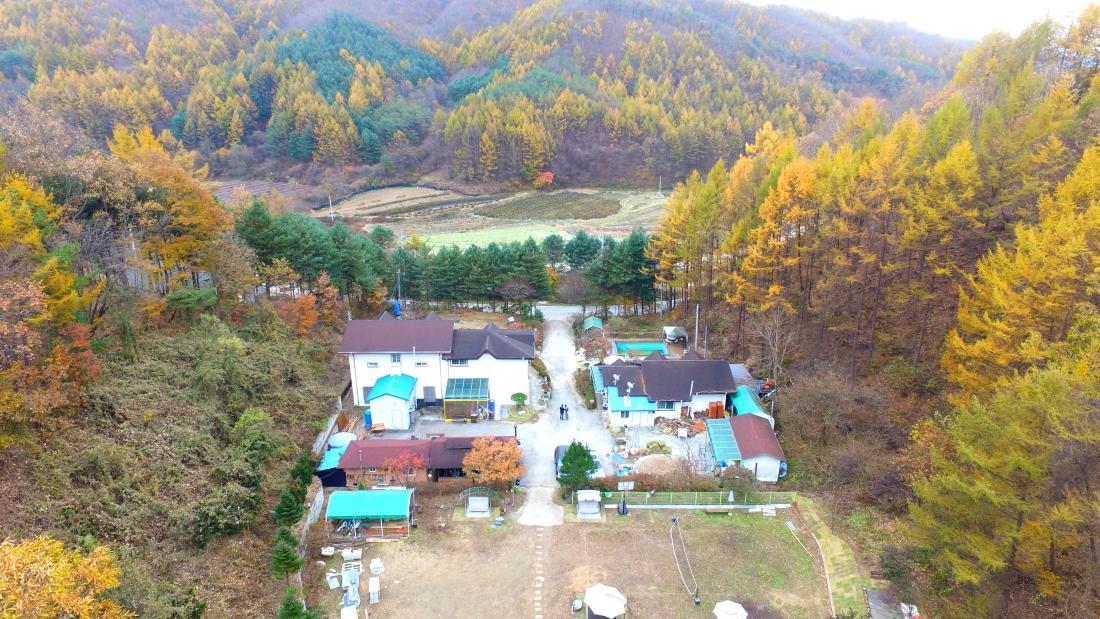 Pinearoma Pension Hongcheon Luaran gambar
