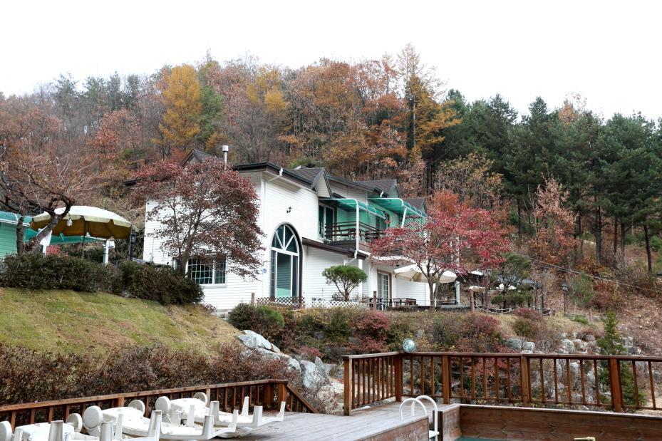 Pinearoma Pension Hongcheon Luaran gambar